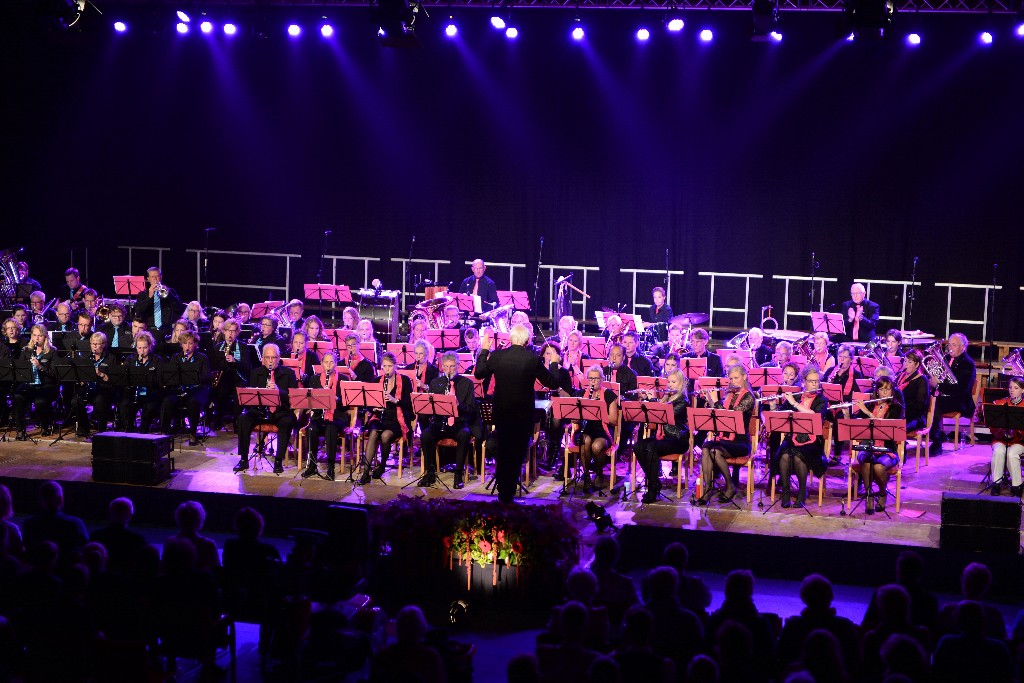 ../Images/Jubileumconcert 100 jaar Harpe Davids 260.jpg